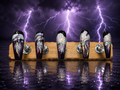 Bring on the Storm
